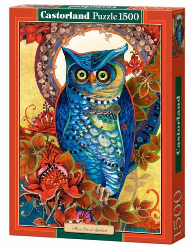 Hoot - David Galchutt - Puzzle 1500.jpg