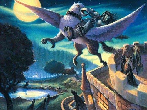Harry Potter - Sirius Takes Flight - Puzzle 1000.jpg