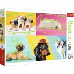 Neon Color Line - Odlotowe Psy - Puzzle 1000