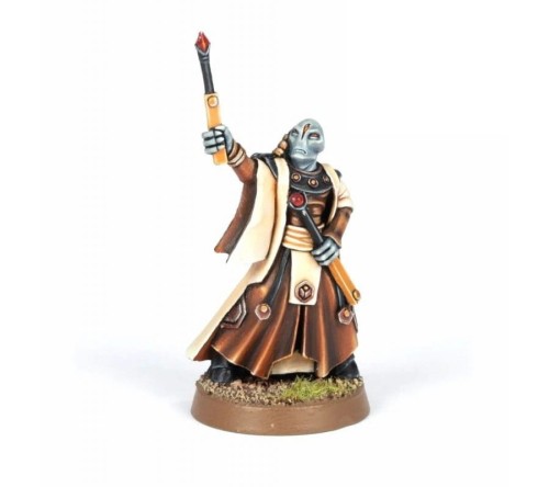 Tau Empire - Tau Ethereal - MO - WH 40K.jpg